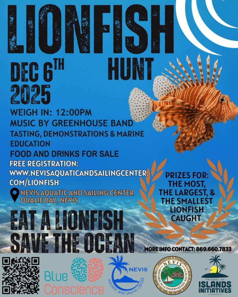 Lion Fish Hunt