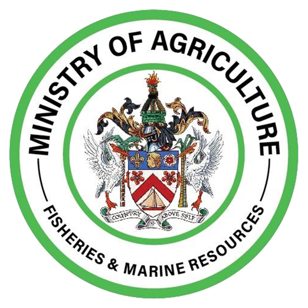 (ST. KITTS) Temporary Abattoir Closure
