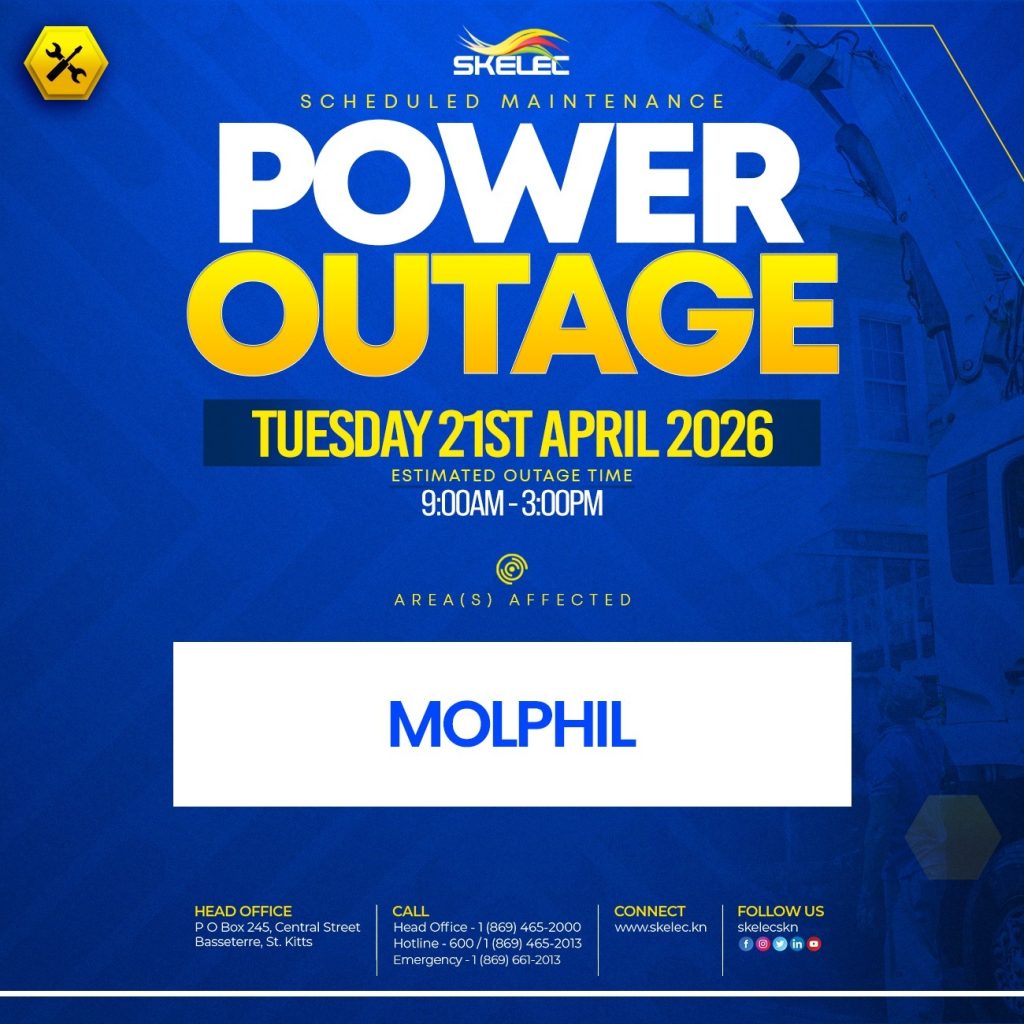 SKELEC Scheduled Outage – Molphil