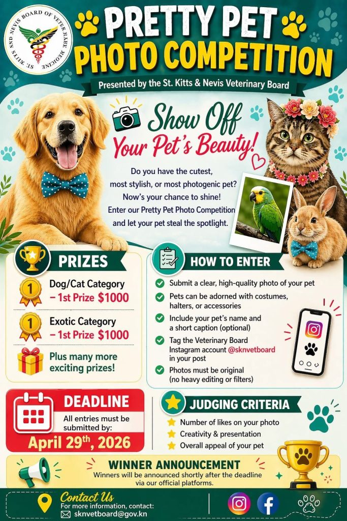 Pretty Pet Photo Competition